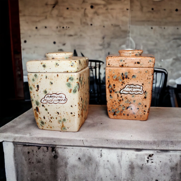 The Hand-painted "magique mushroom" Canister