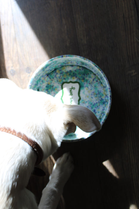 Hand-painted Custom Ceramic Dog Bowl